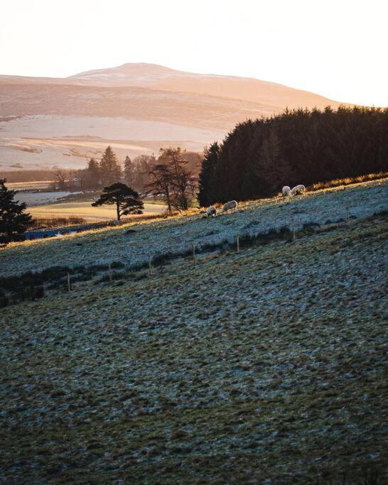 Beatshach Bothy - Speyside, Incredible Location! Apartment Dufftown Bagian luar foto